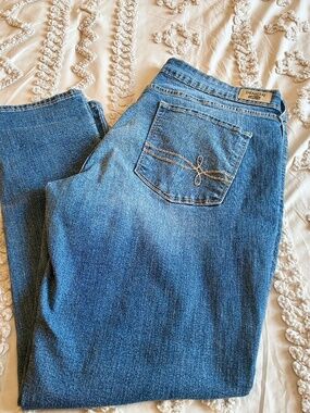 Denizen from Levi’s Modern Skinny Jeans